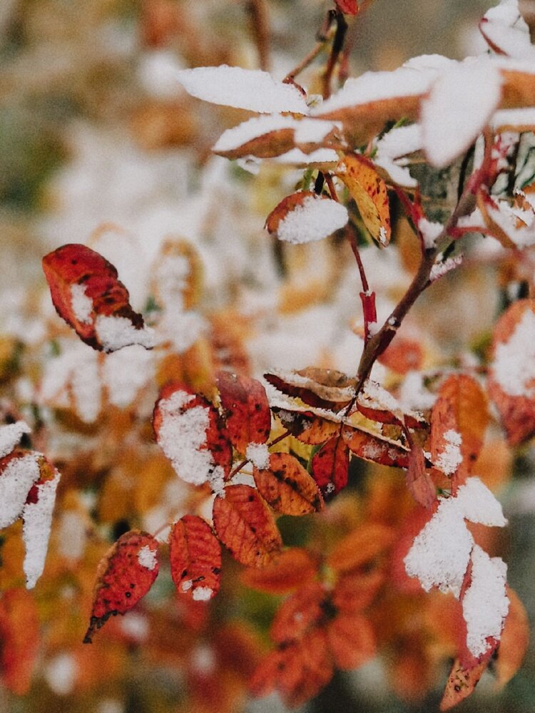 Photograph by Татьяна Галанина