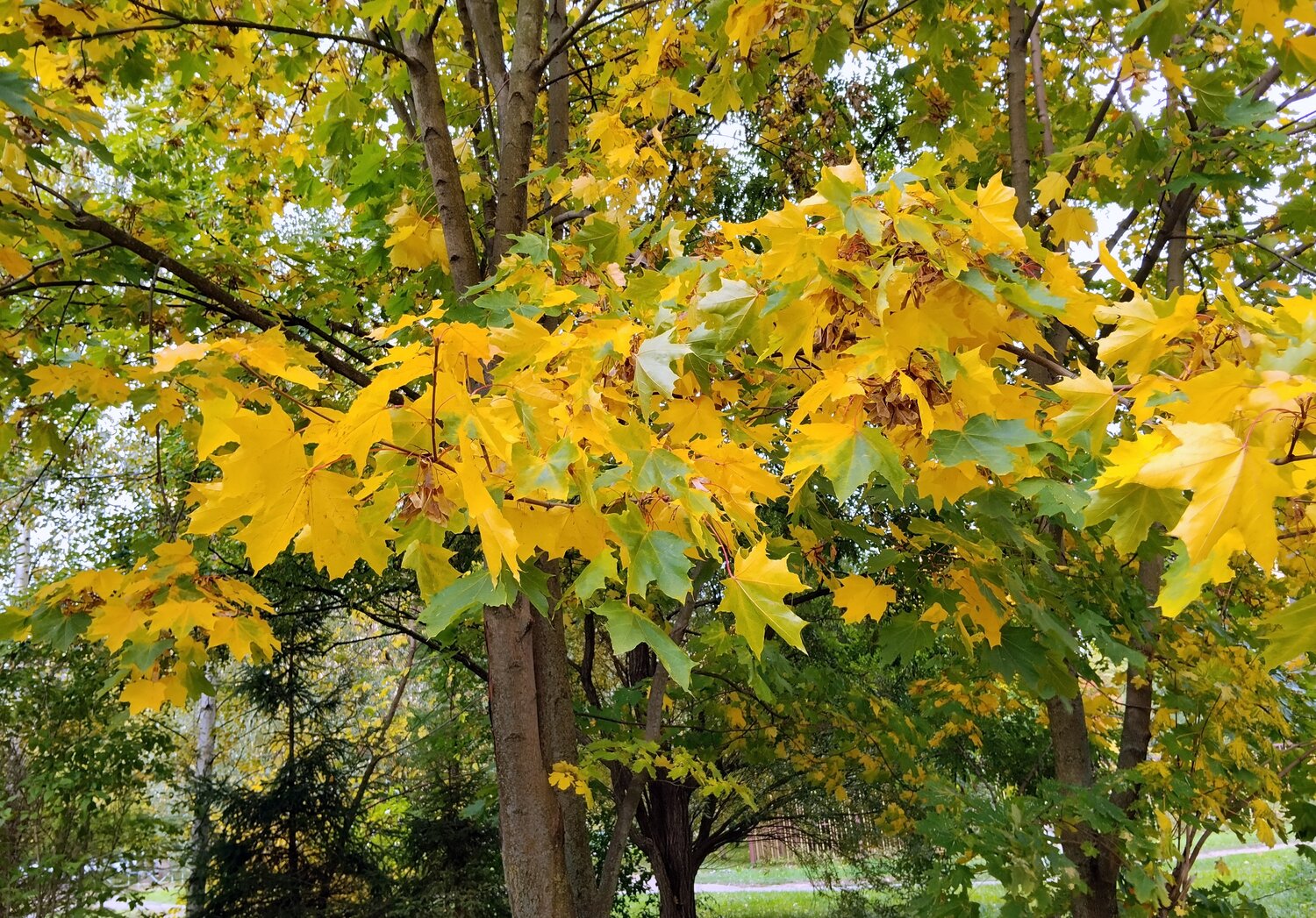 Photo #14131424