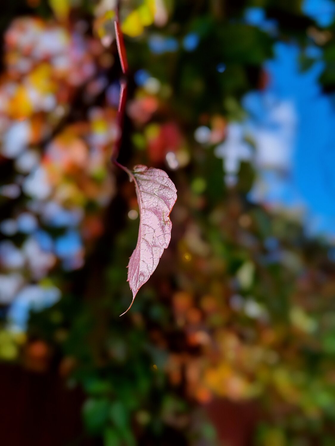 Photo #14131457