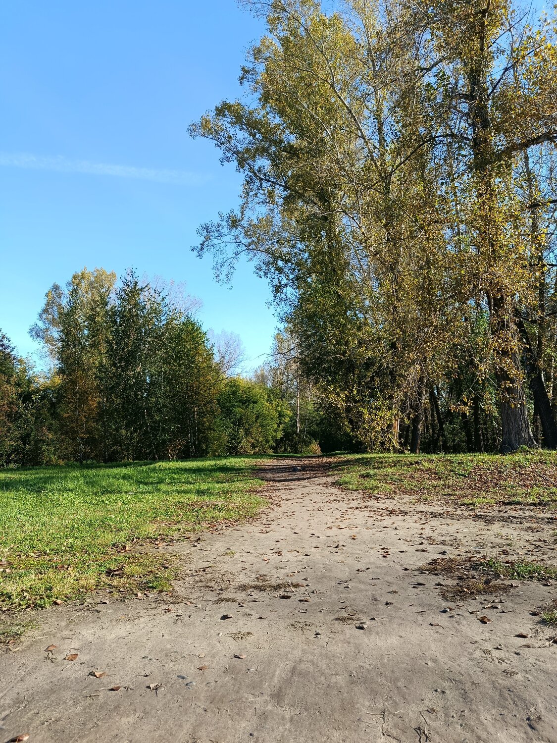Photo #14131608