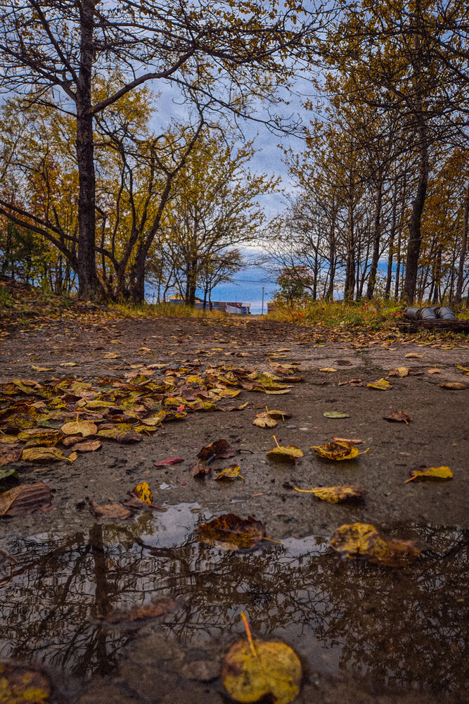 Photograph by Надежда Севостьянова