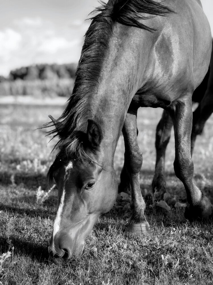 Photograph by Анна Якубинас