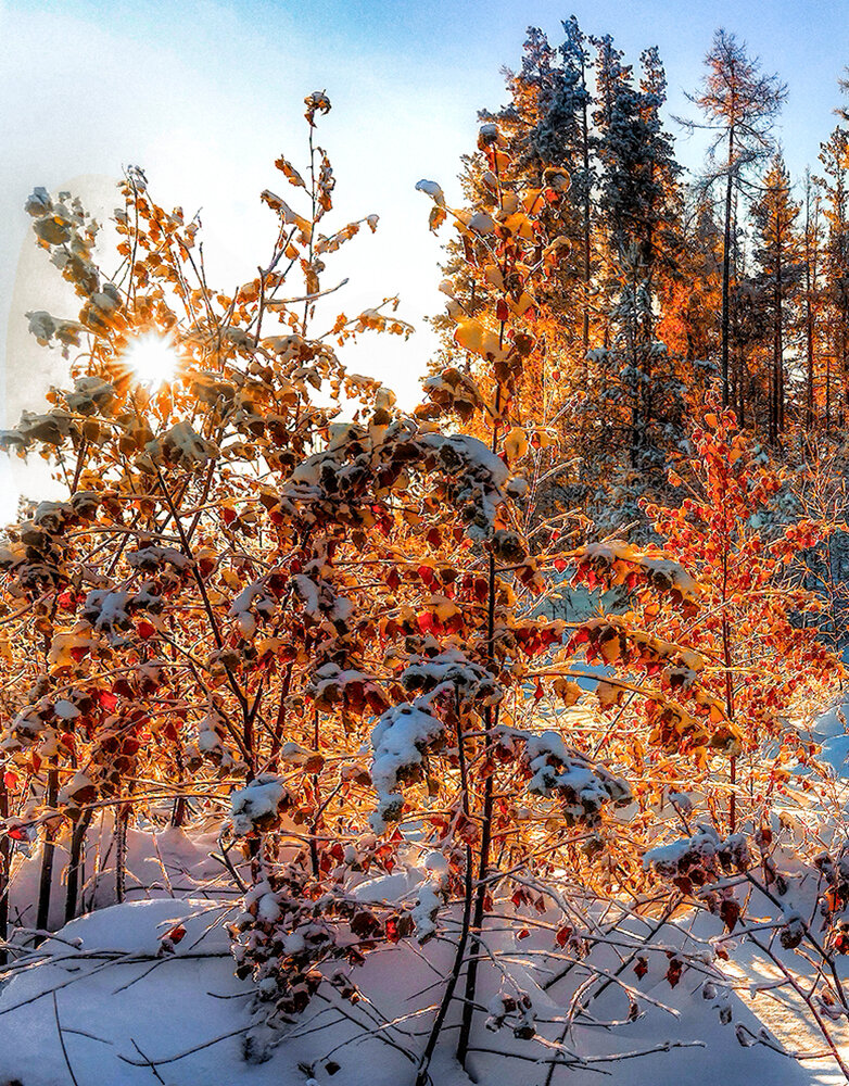 Photograph by Vladim Bormotov