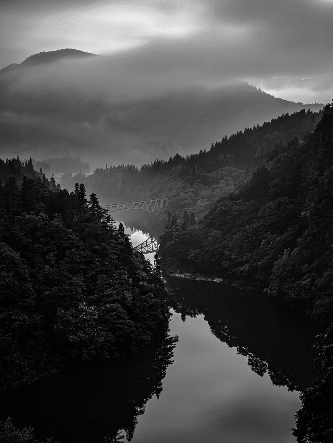 Photo #14132095