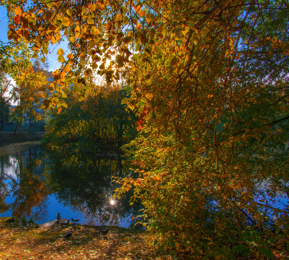 Photograph by Vladim Bormotov