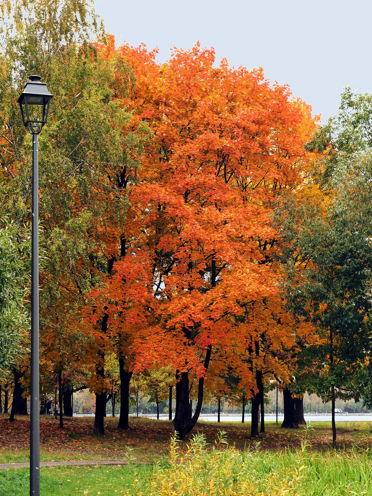 Photograph by Михаил Малец