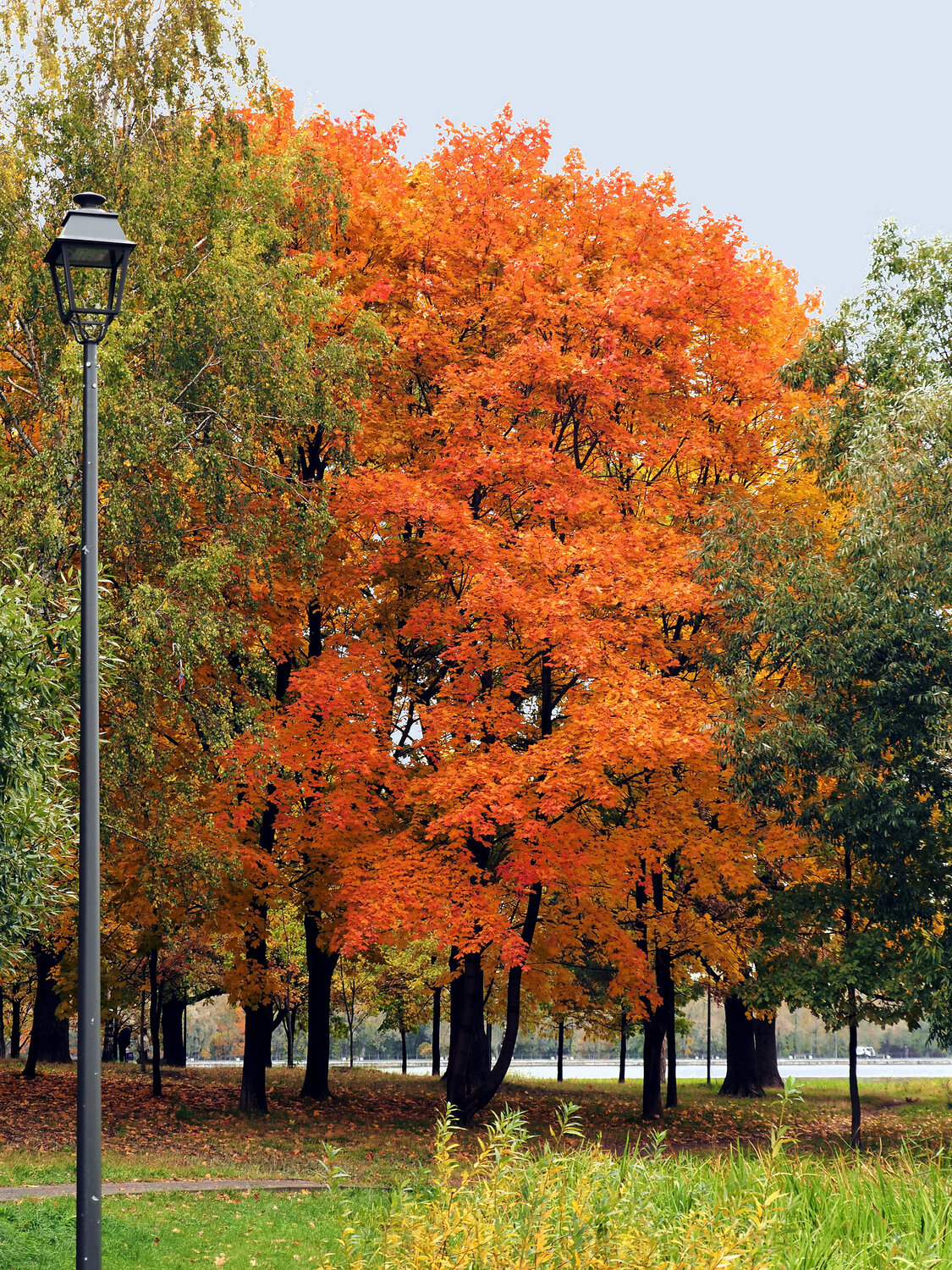 Photo #14132269