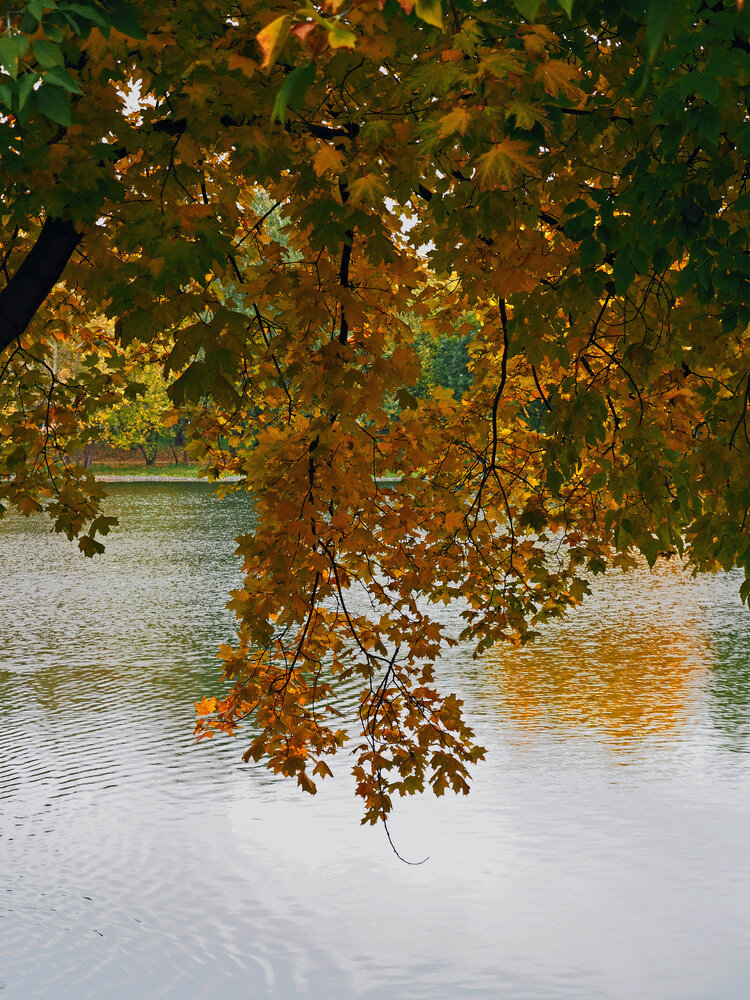 Photograph by Михаил Малец