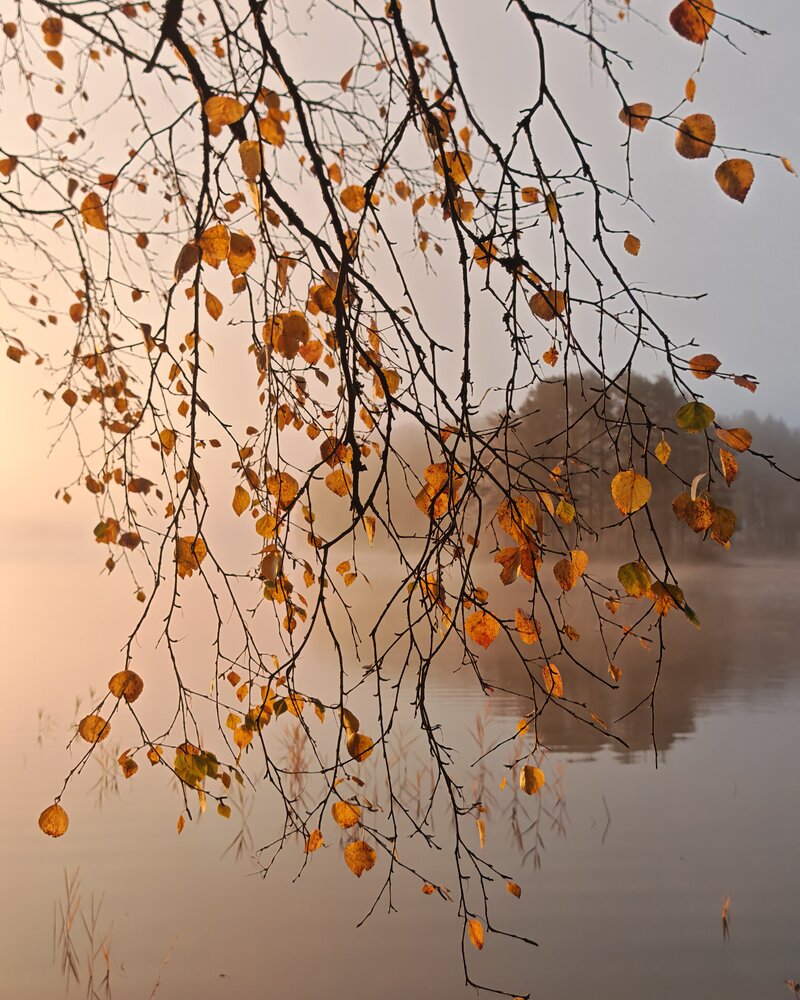 Photograph by OLga Piirainen