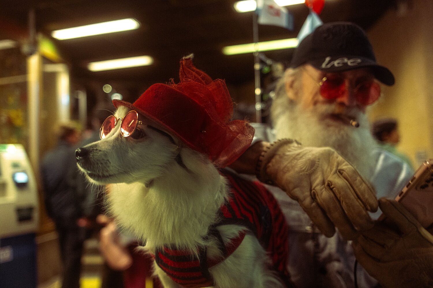 Photo #14132336