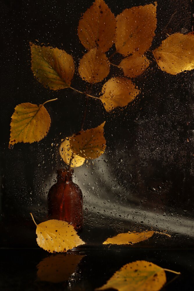 Photograph by Екатерина Зязина