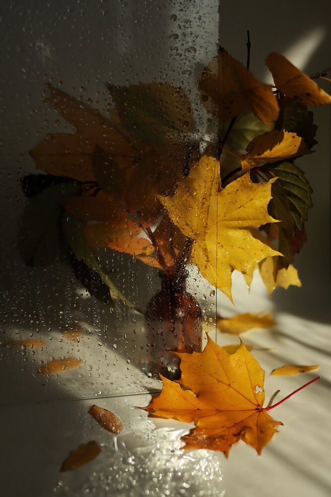 Photograph by Екатерина Зязина