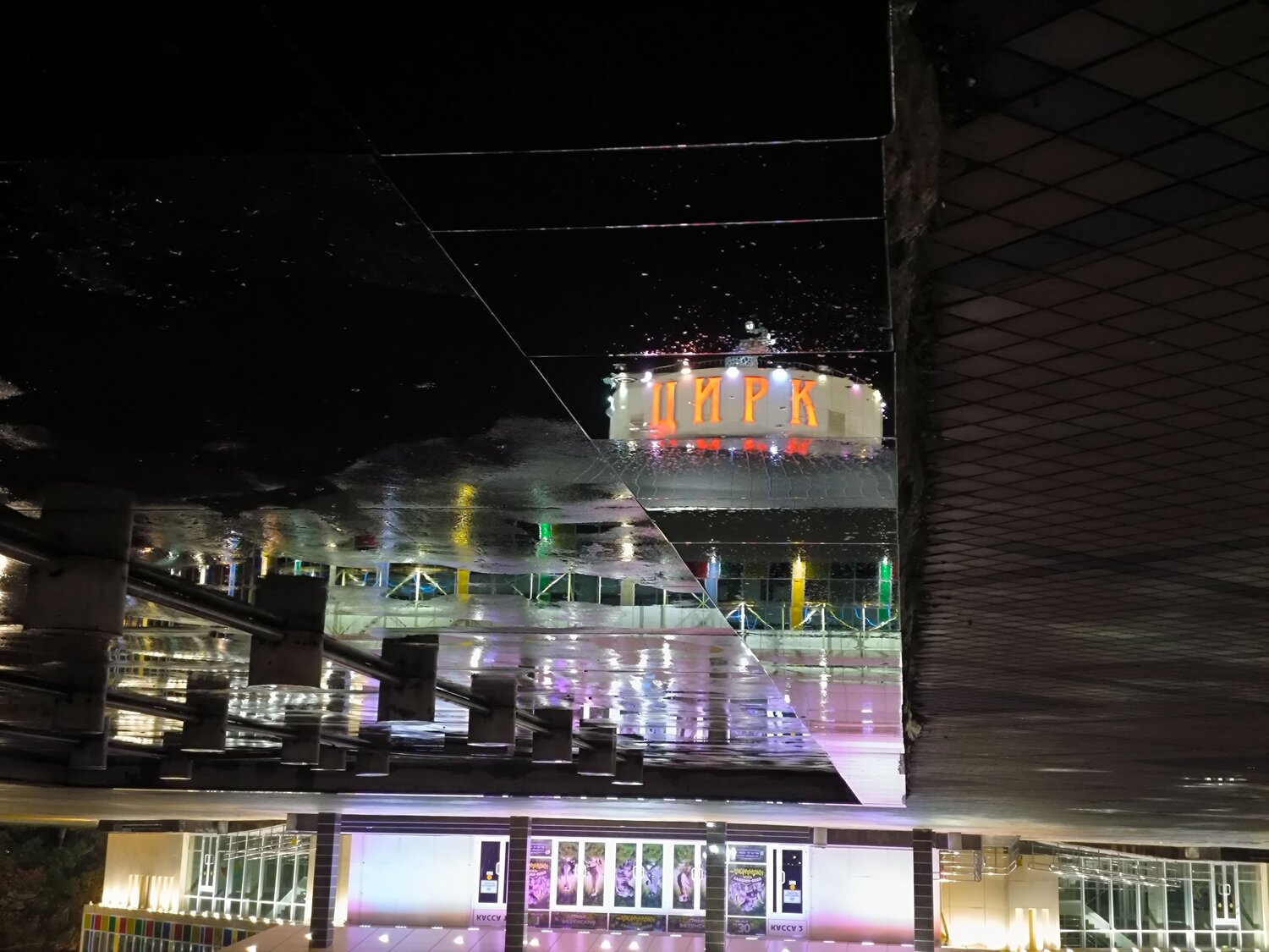 Photo #14132401