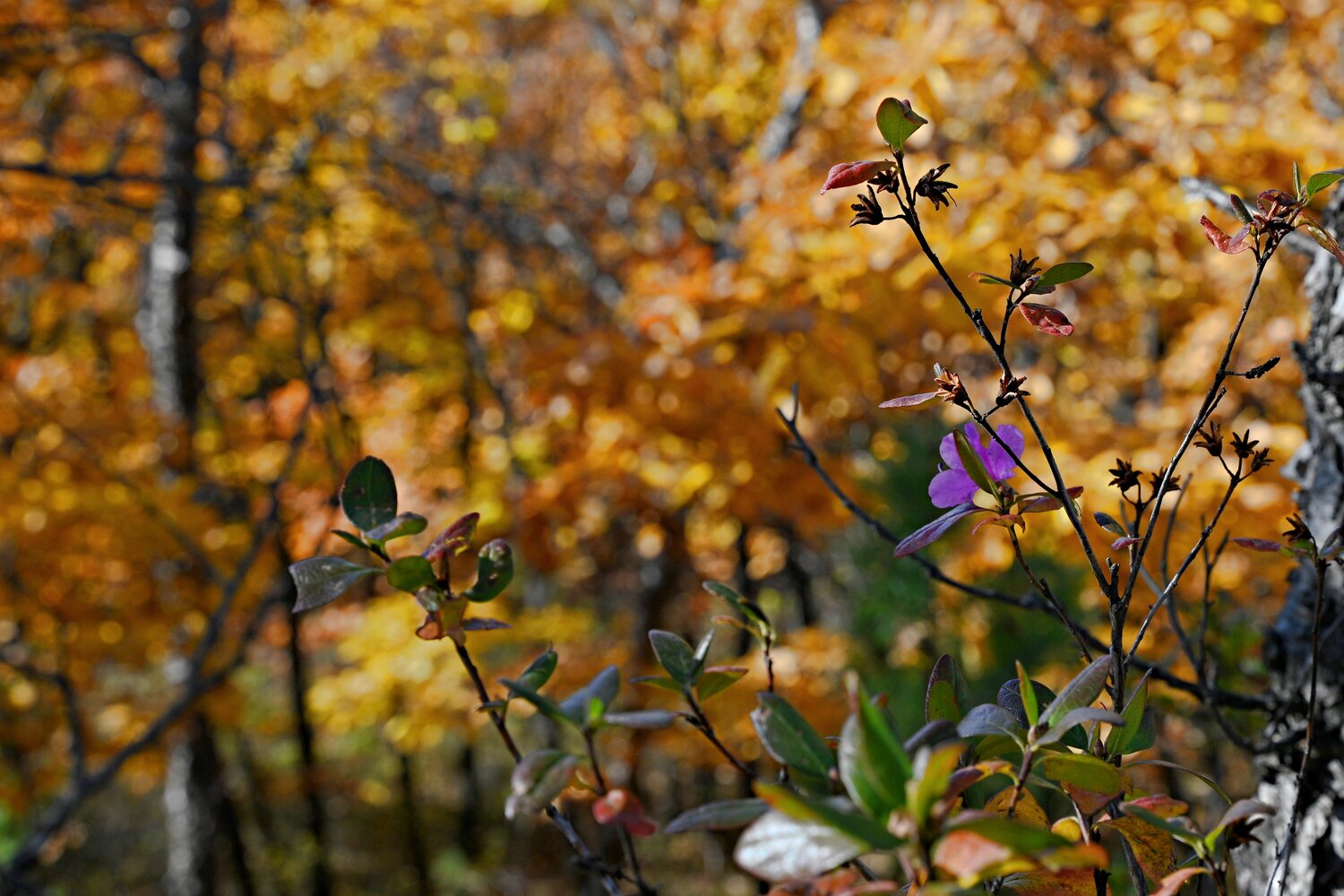 Photo #14132429