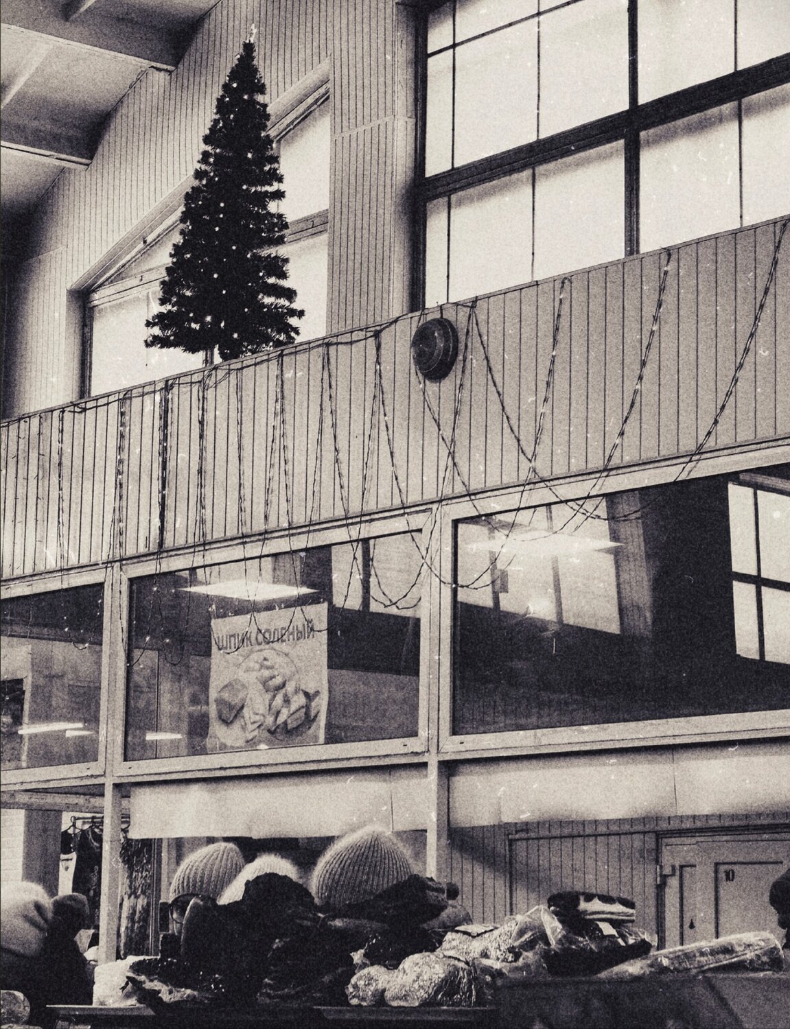 Photo #14132444