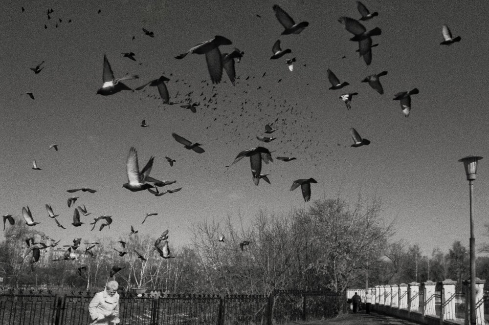 Photograph by Ирина Курмалеева