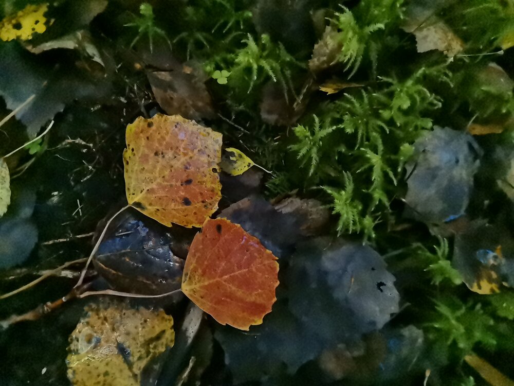 Photograph by Olga Kot