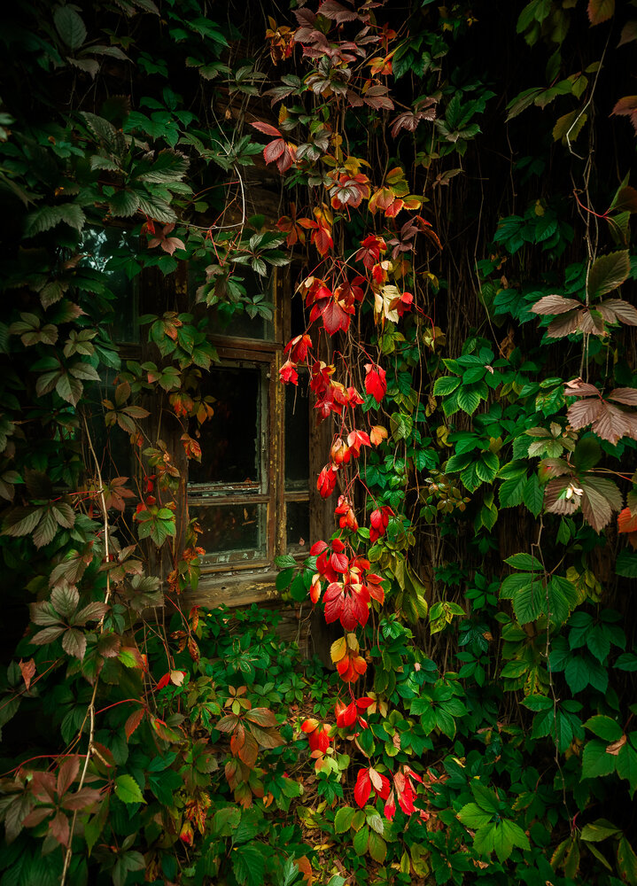 Photograph by Maxim Bondar