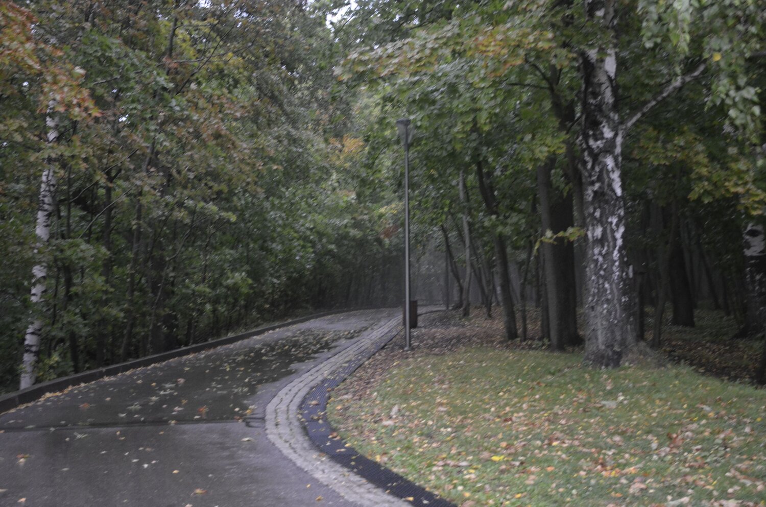 Photo #14132912