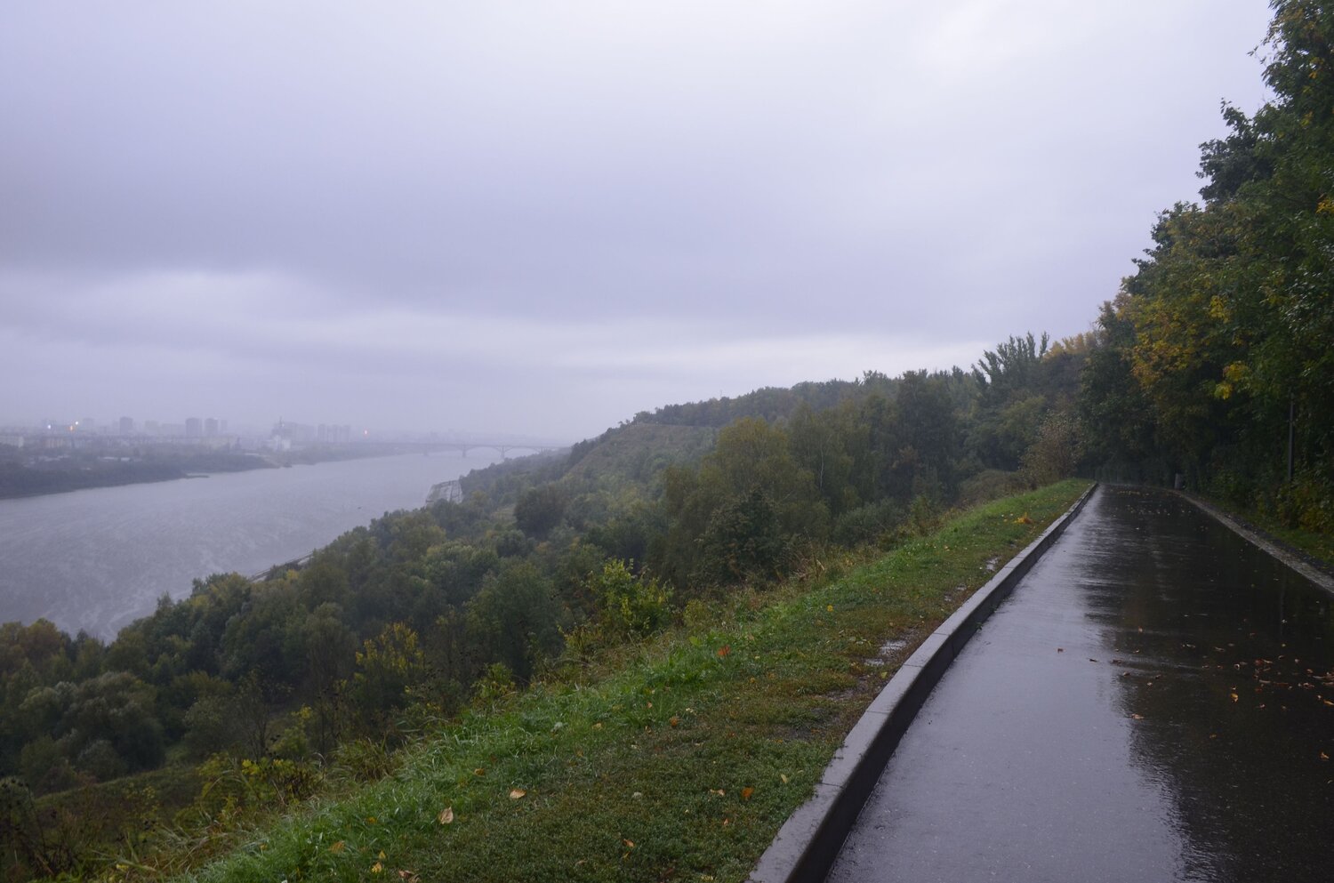 Photo #14132914