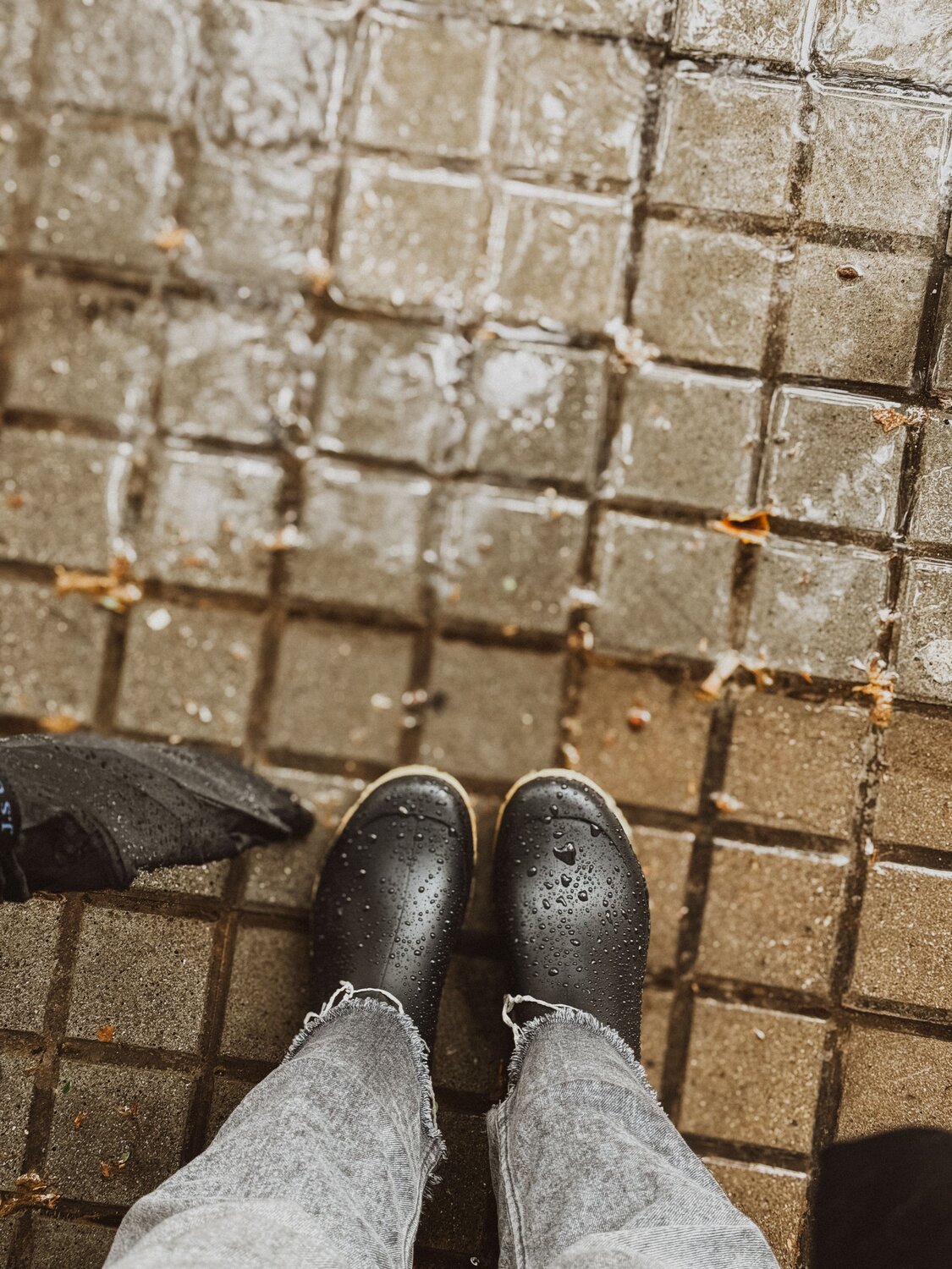 Фотография #14132945