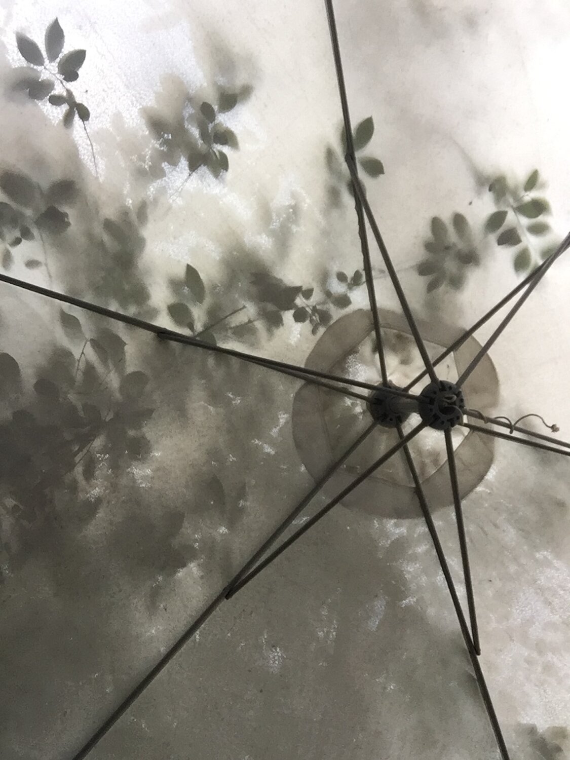Photo #14132983
