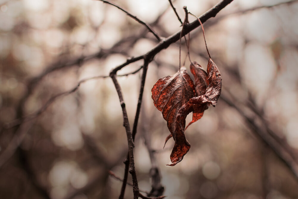 Photograph by Евгений Малинин