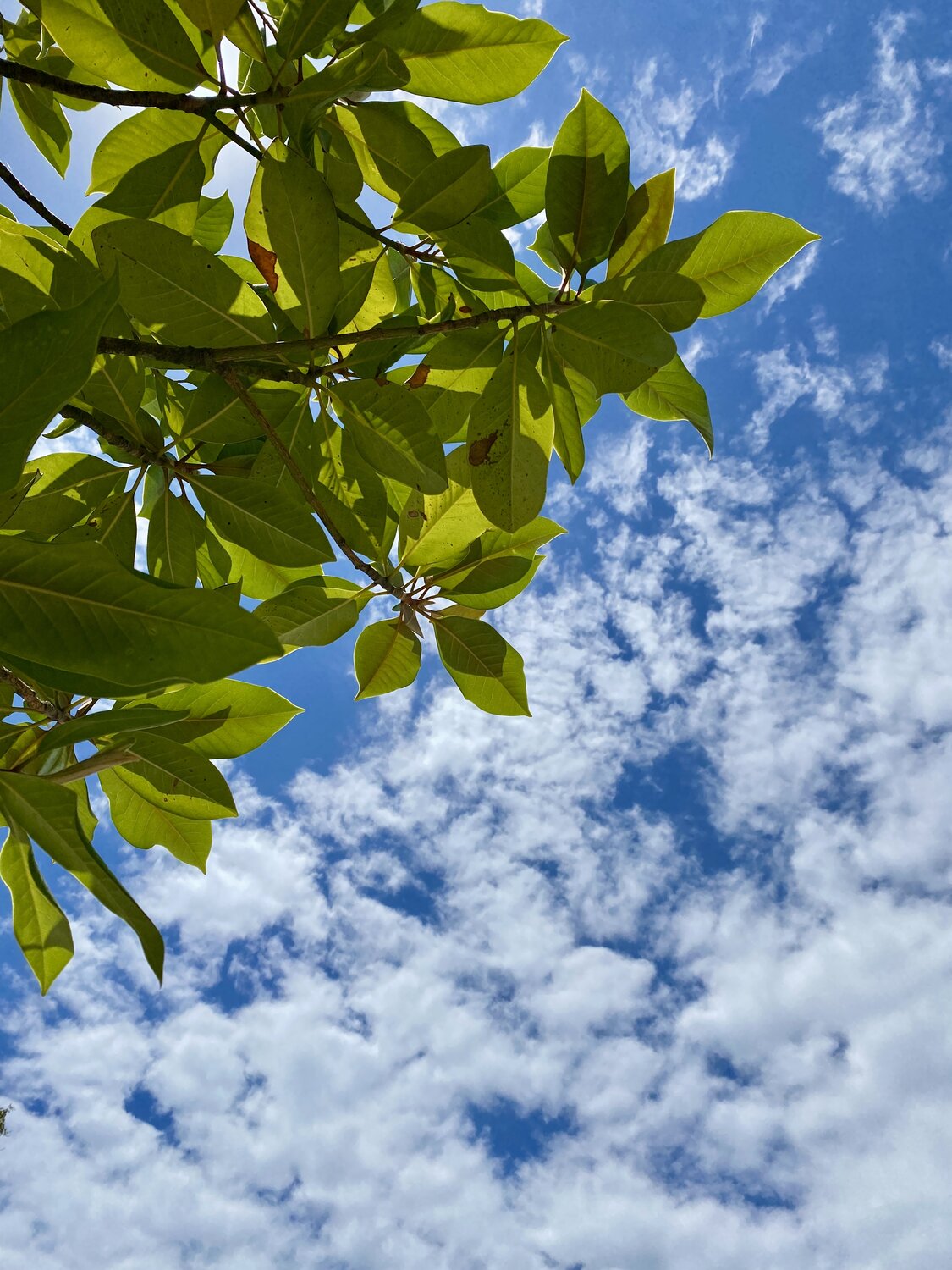 Photo #14133016