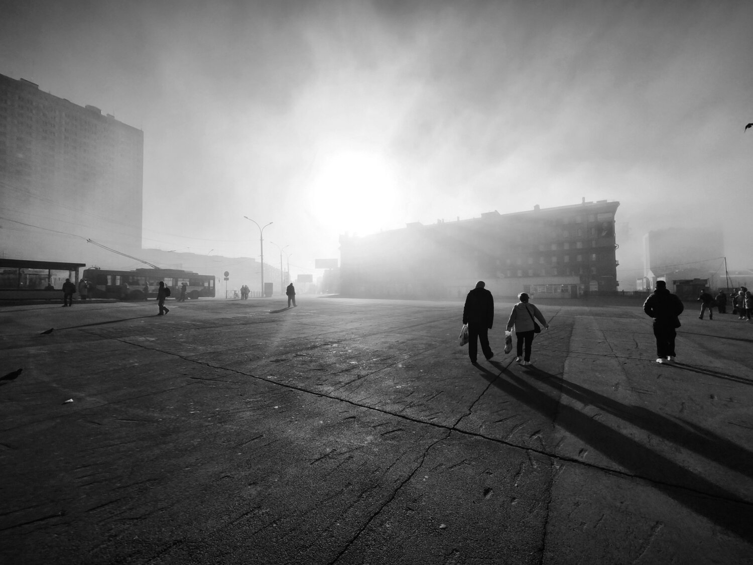 Photo #14133021