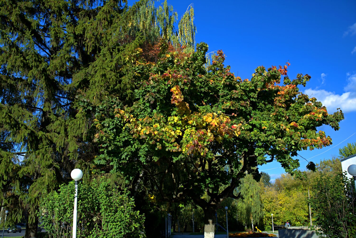 Photo #14133060