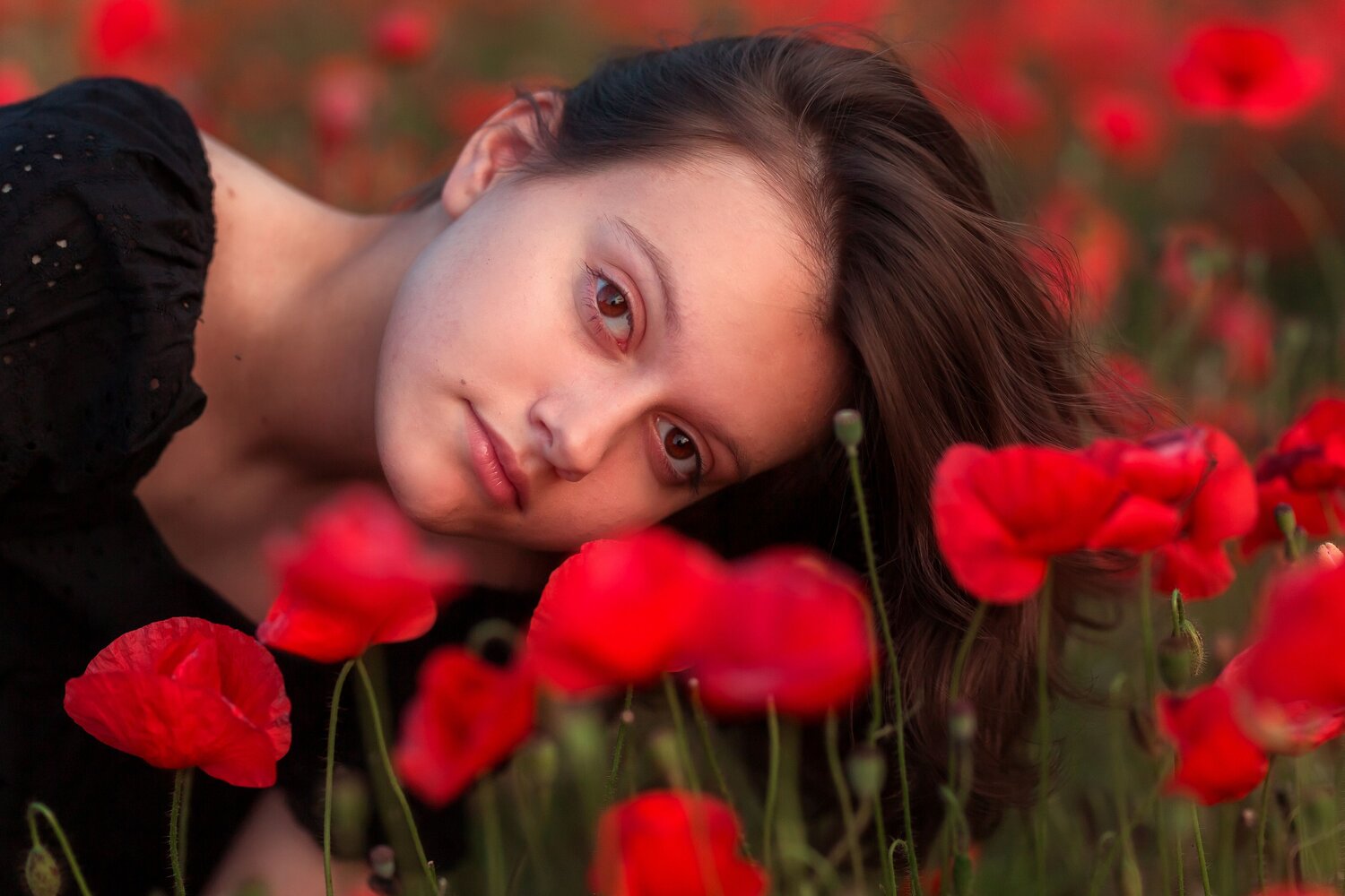 Фотография #14133065