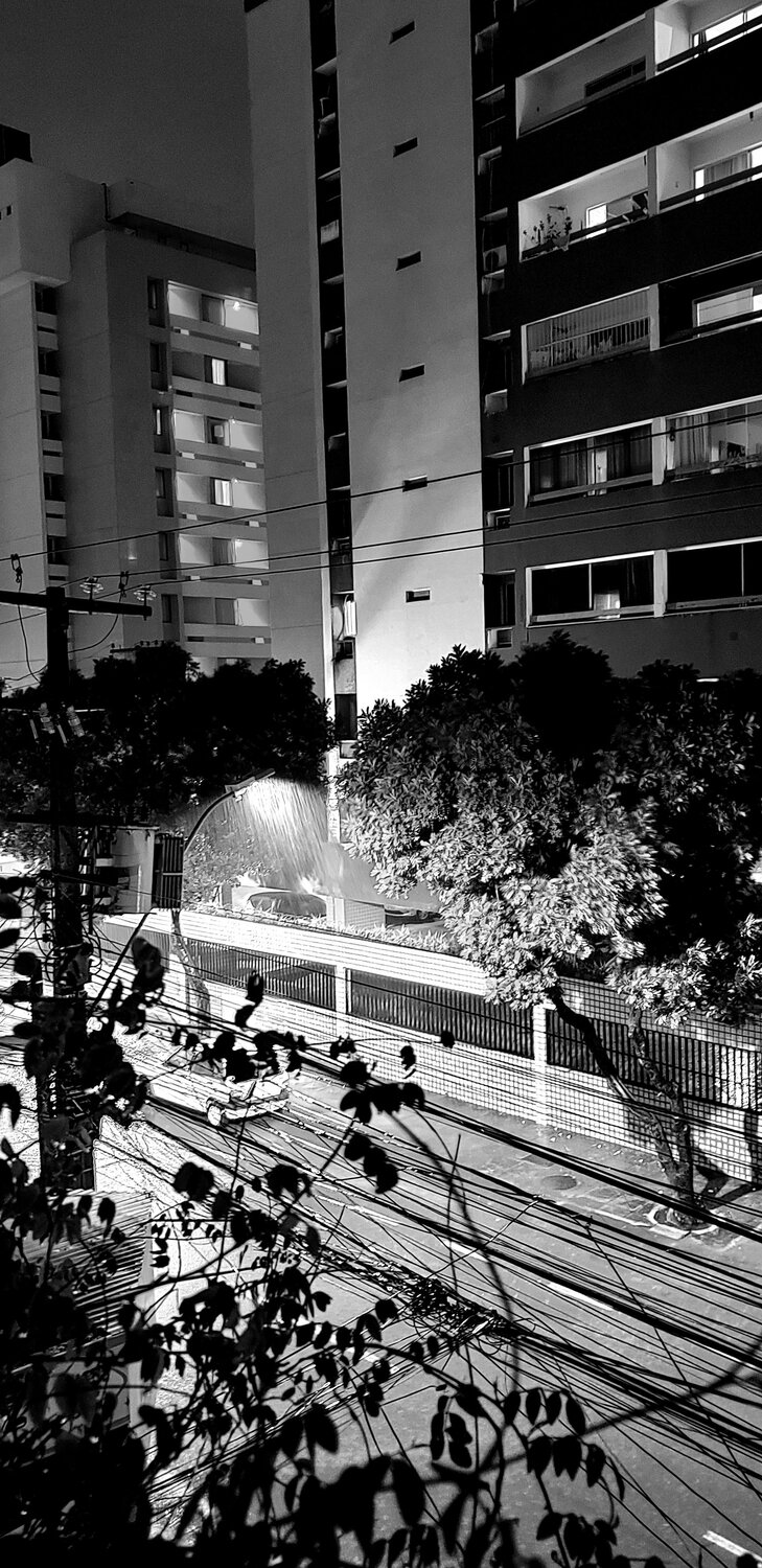 Photo #14133152