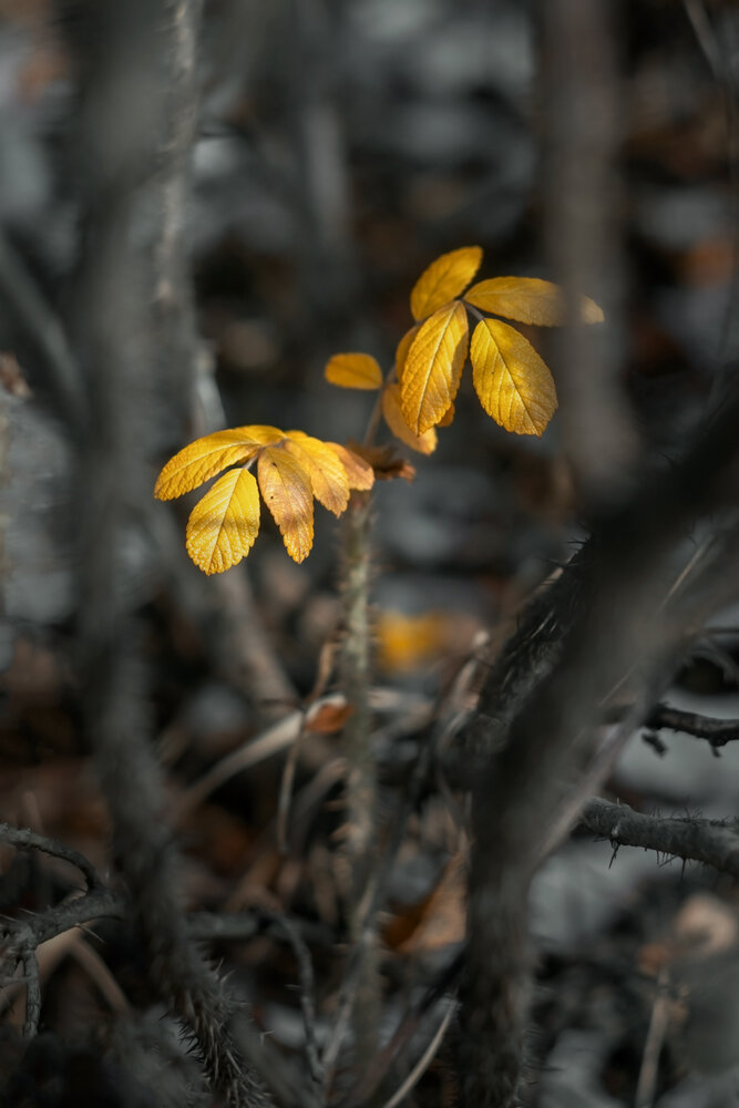 Photograph by Евгений Малинин