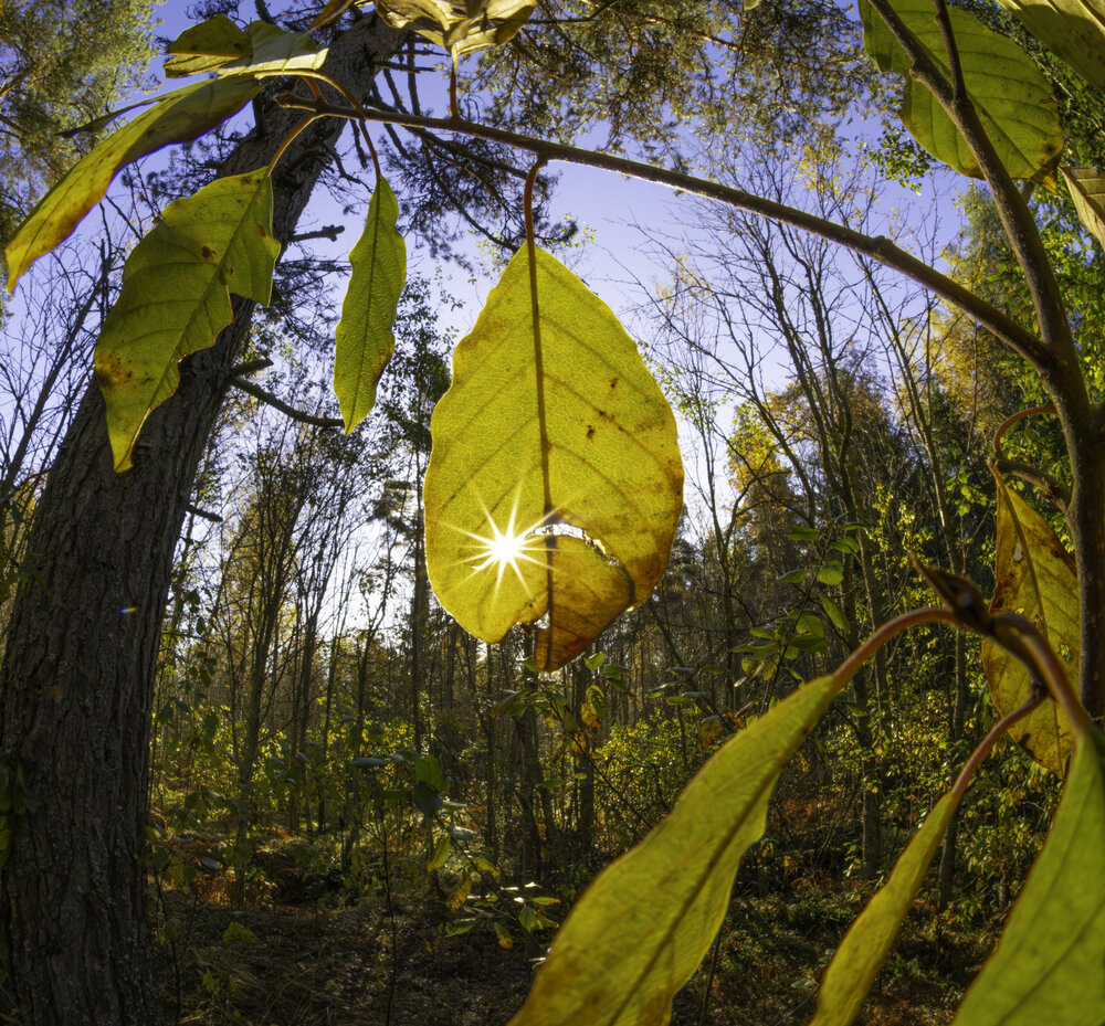 Photograph by Илья Кулаков