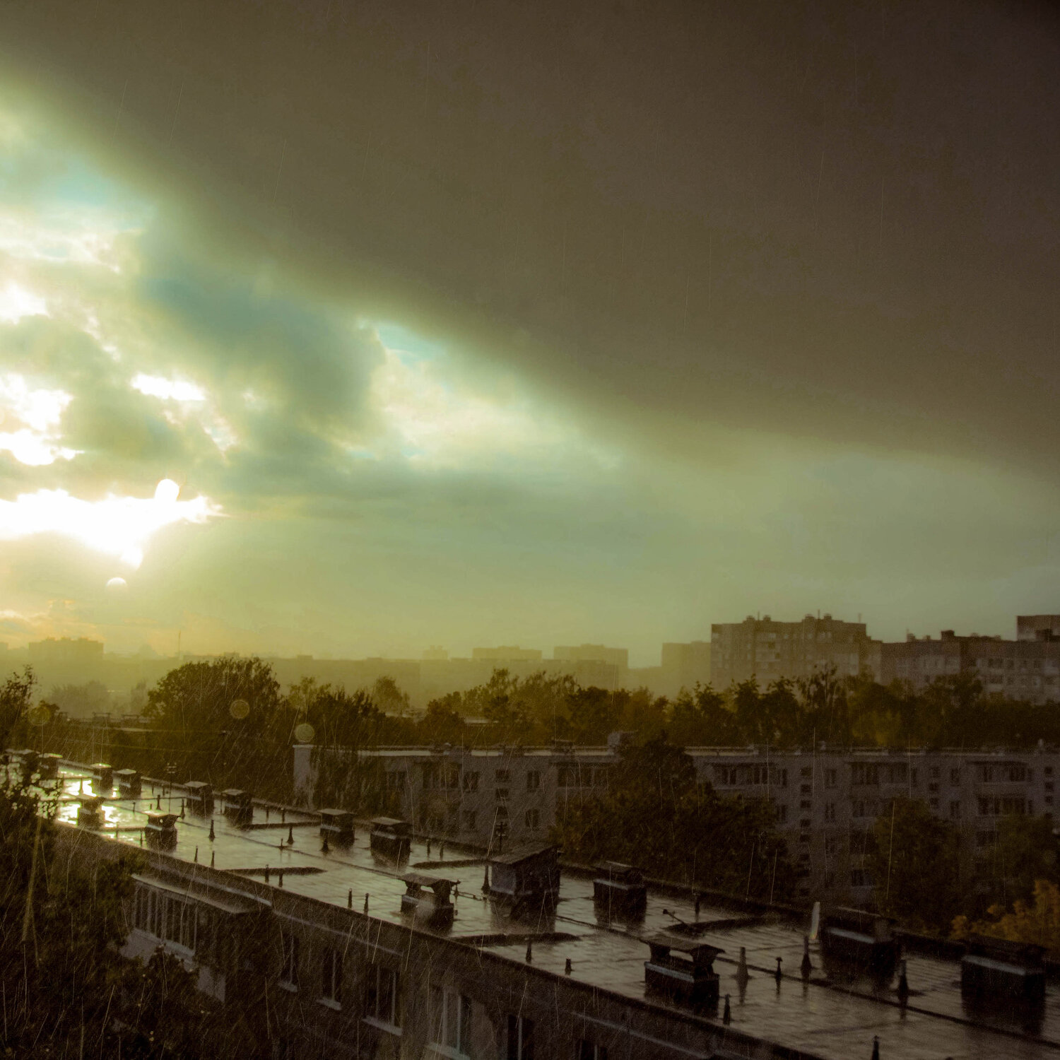 Photo #14133449
