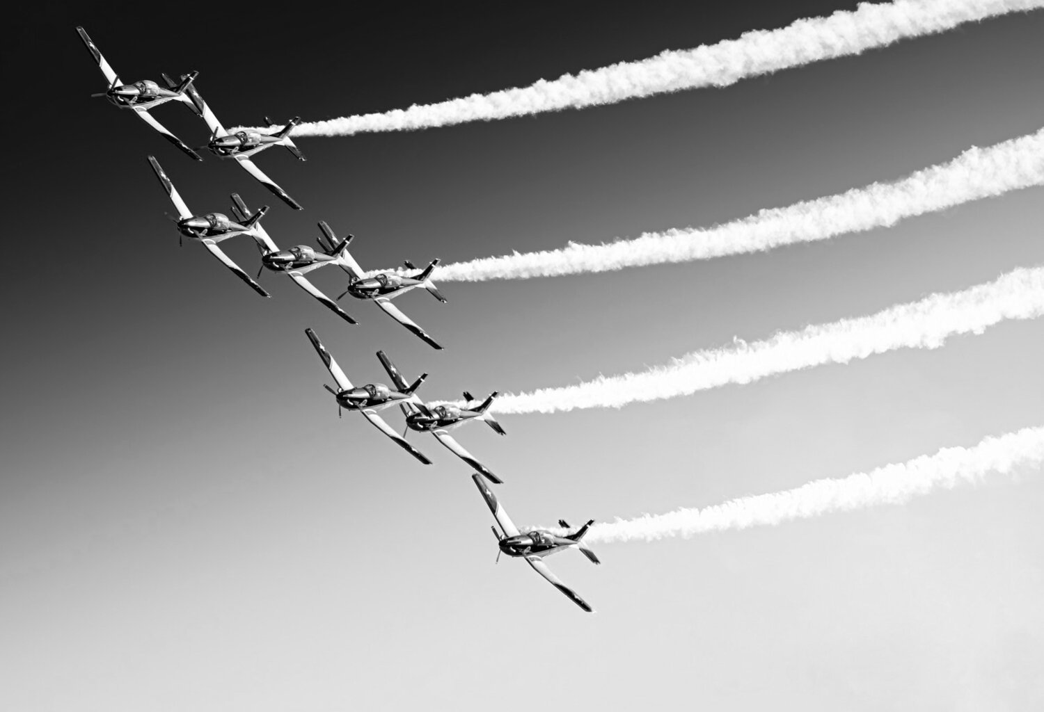 Photo #14133709