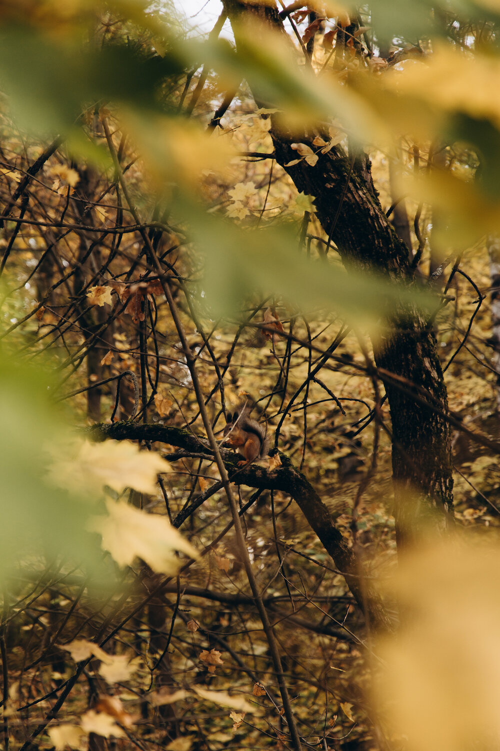 Photo #14133819