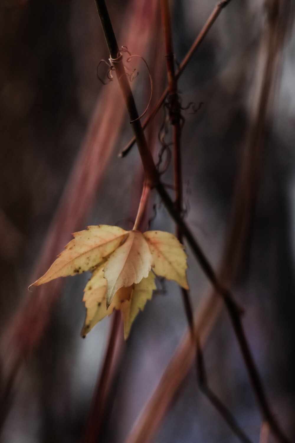 Photo #14133874