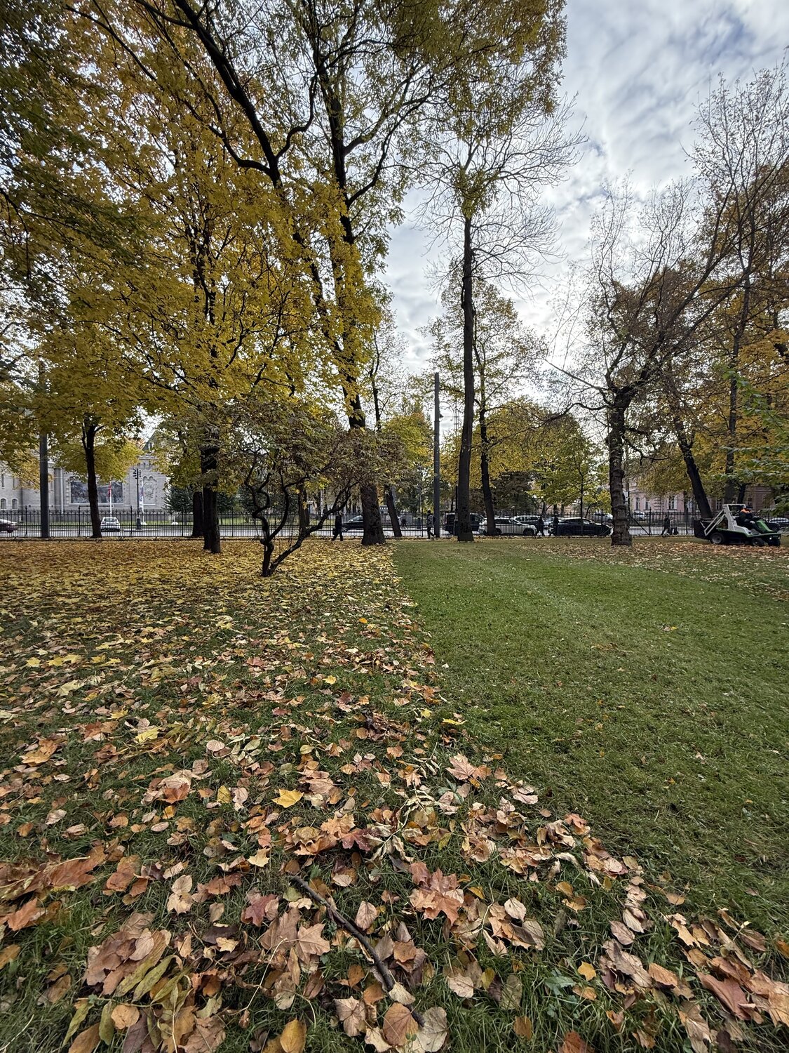 Photo #14133993