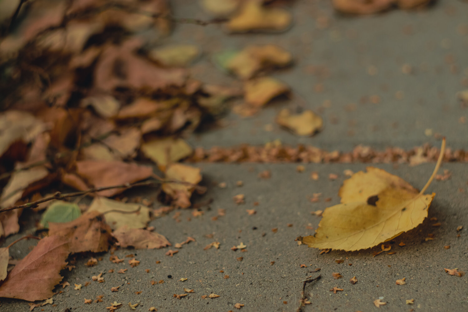 Photo #14134028
