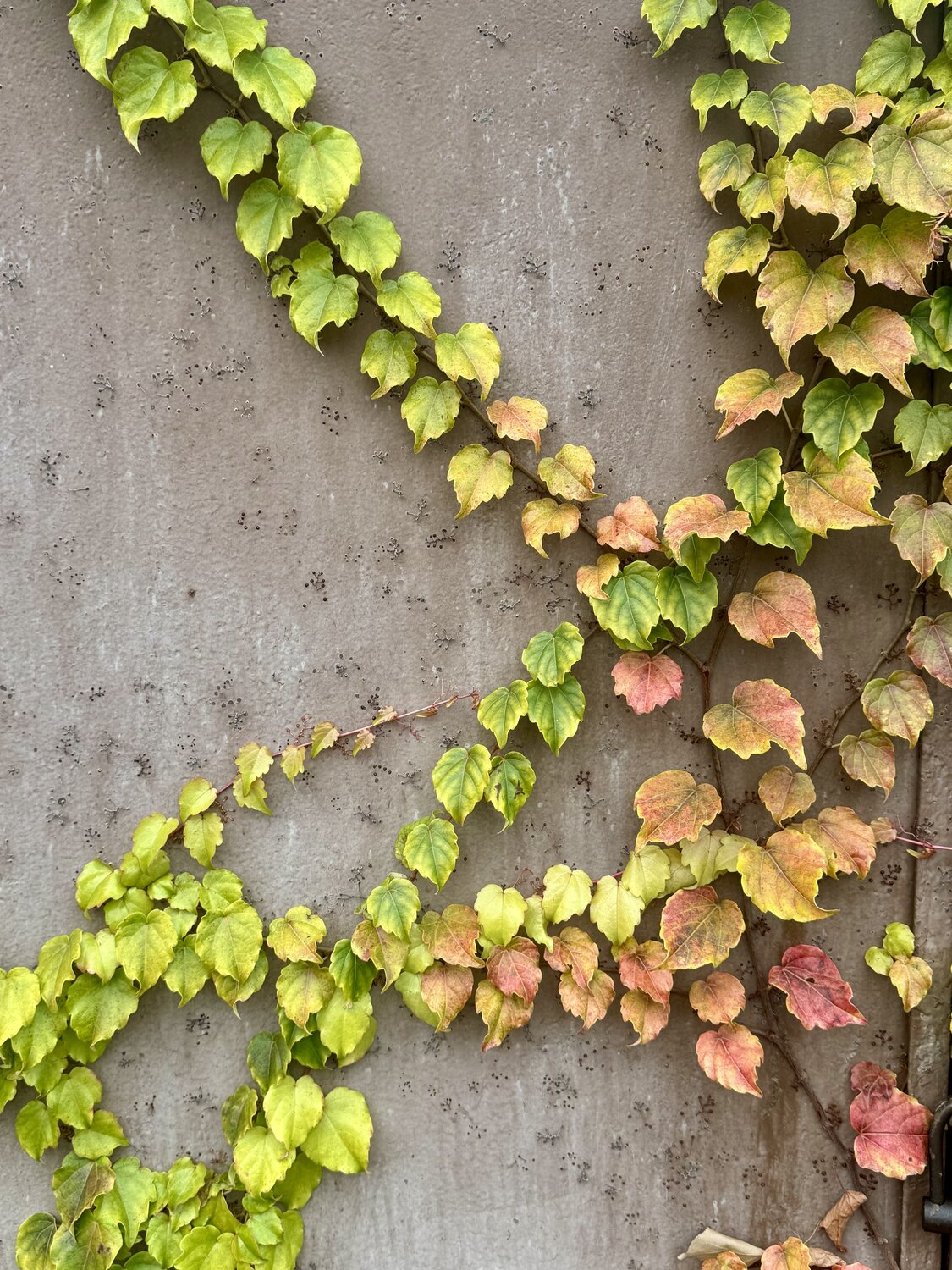 Photo #14134033