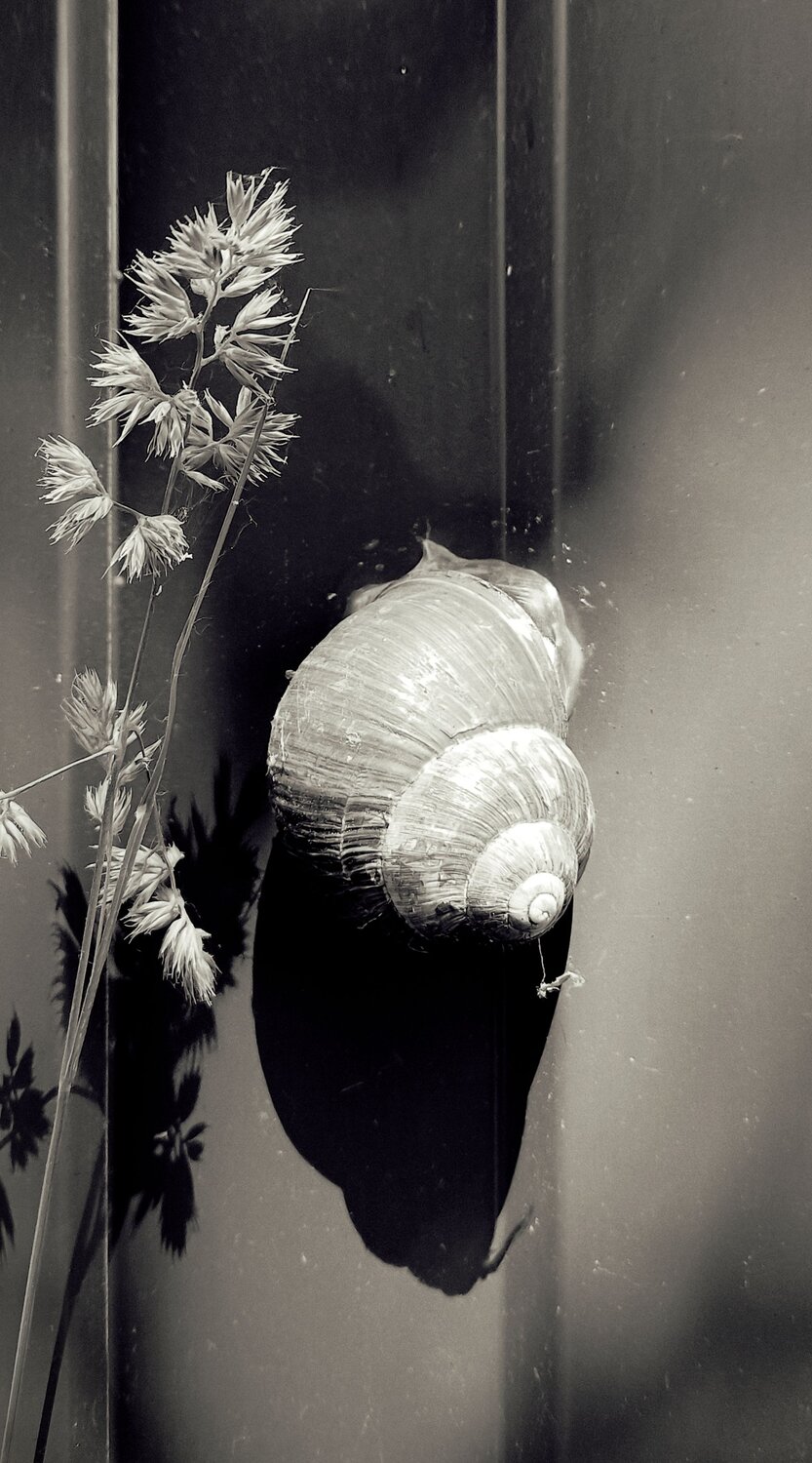 Photo #14134129