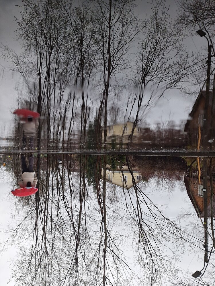 Photograph by Ольга Мольдон