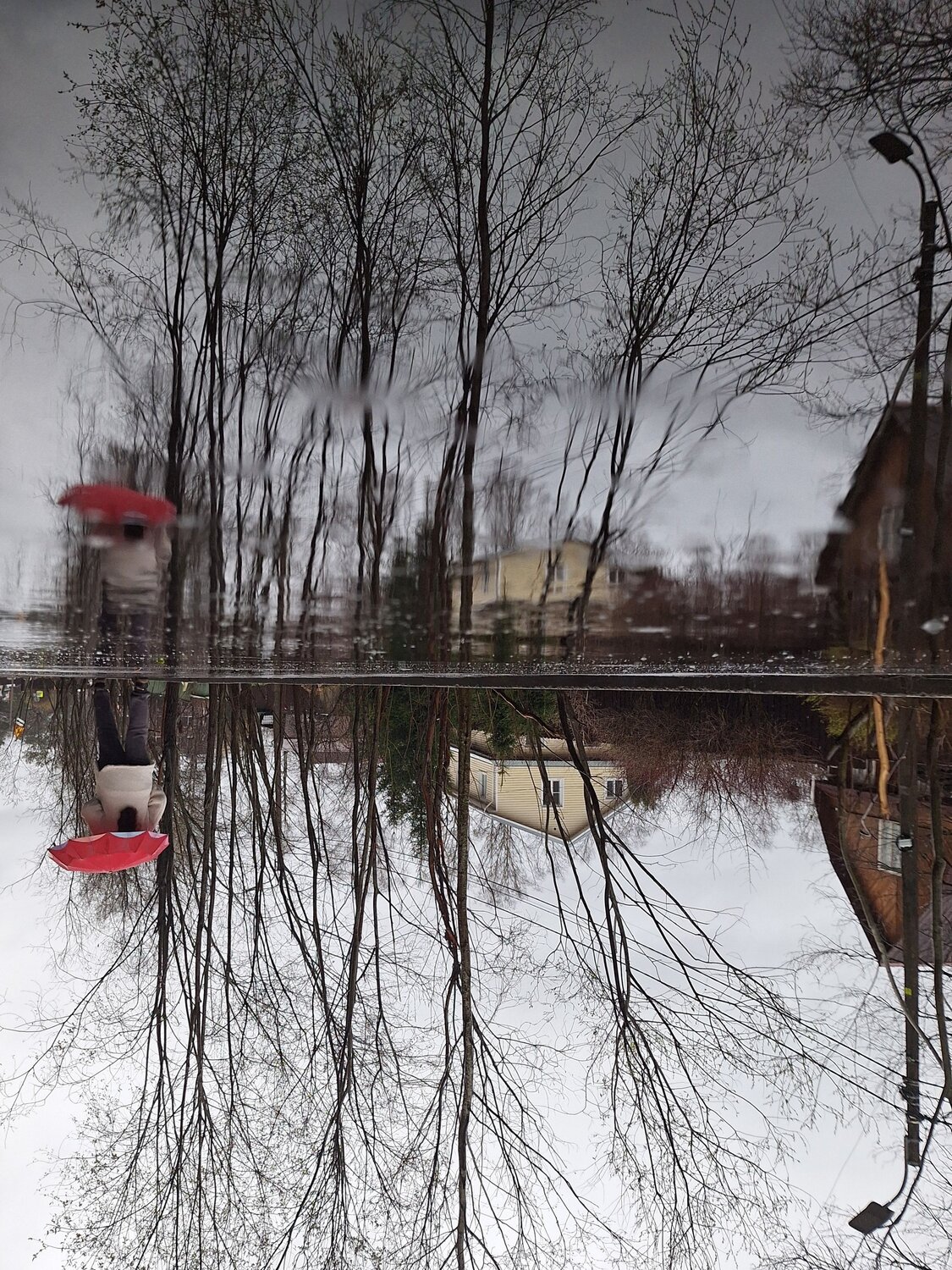 Photo #14134150