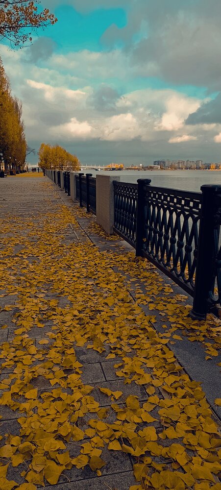 Фотография #14134246