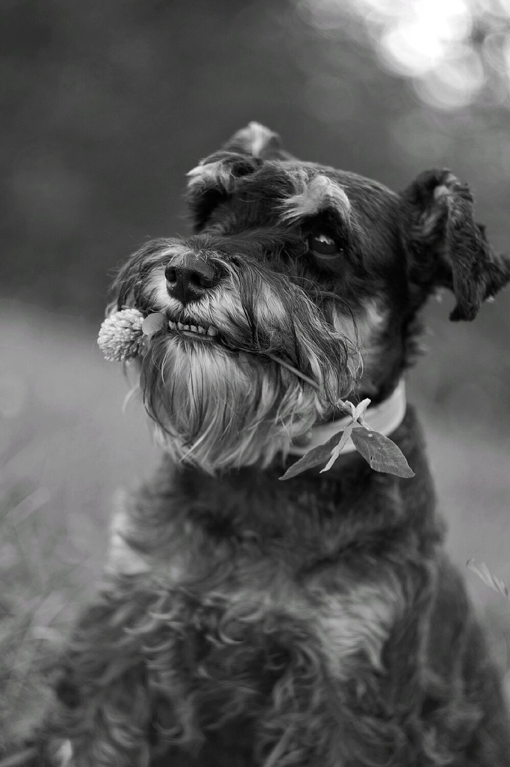 Photo #14134468