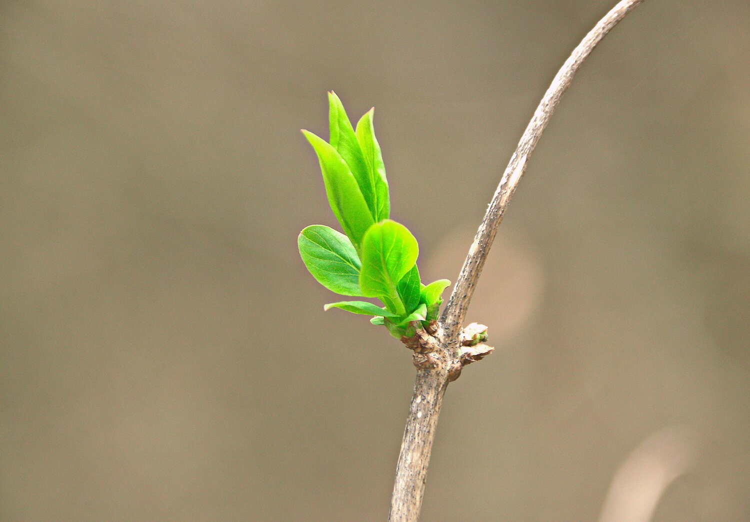 Photo #14134523