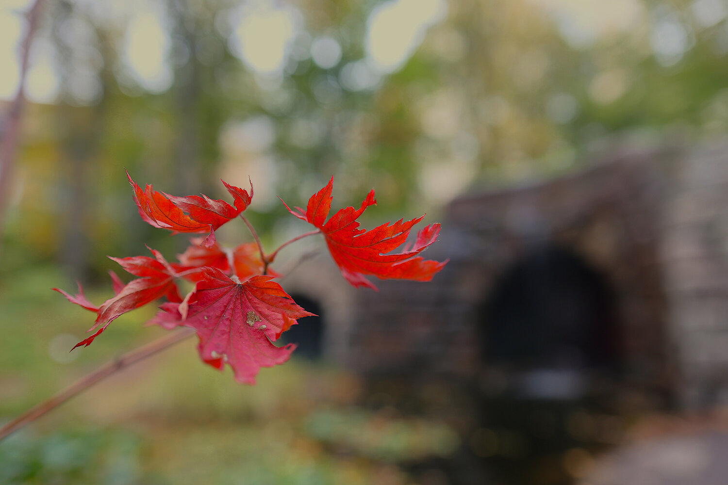 Photo #14134569