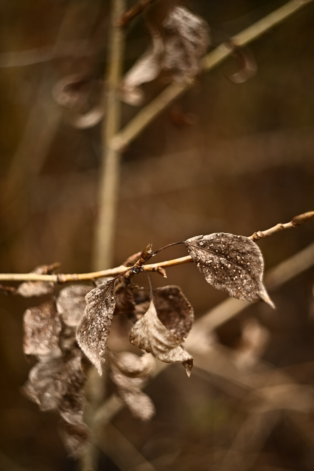 Photo #14134664