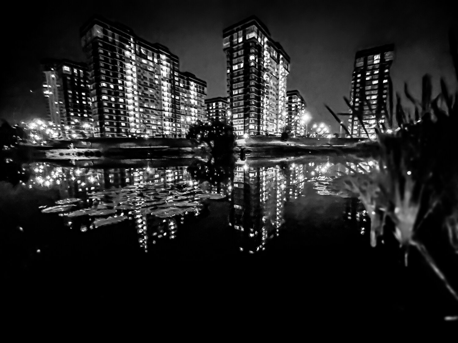 Photo #14134726